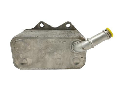 Used Oil radiator SKODA OCTAVIA II (1Z3) 2.0 FSI (150 hp) 14154858