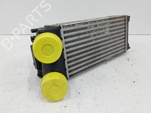 Intercooler PEUGEOT 3008 I MPV (0U_) 1.6 THP | BP29595289M30 