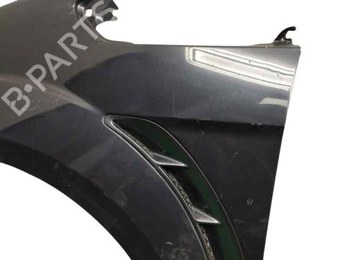 Left front fenders FORD S-MAX (WA6) 2.0 TDCi | BP25132483C41 