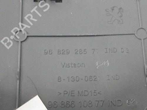 Armrest / Center console PEUGEOT 3008 I MPV (0U_) 1.6 THP | BP29588965I20 