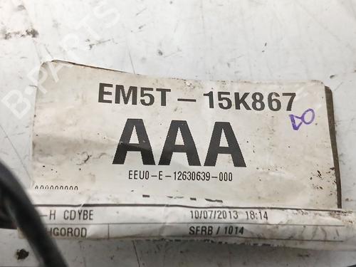 Electronic module FORD FOCUS III 1.6 TDCi | BP29746132M83 