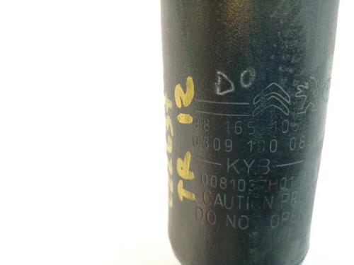 Left rear shock absorber CITROËN JUMPY III Van (V_)  | BP6000419M18