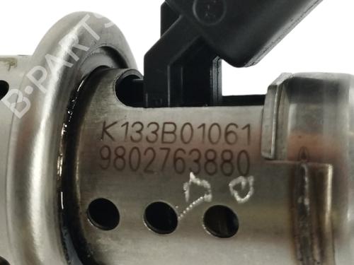 Injector CITROËN C4 Picasso II | BP16647162M100