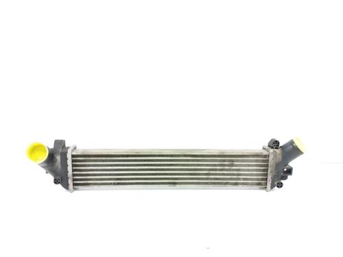 Intercooler RENAULT KANGOO (KC0/1_) 1.5 dCi (68 hp) 12437547