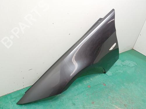 Left front fenders BMW 3 (E90) 320 d | BP29924466C41