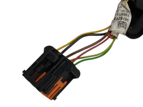 Left mirror CITROËN C4 Picasso II  | BP19636313C26 