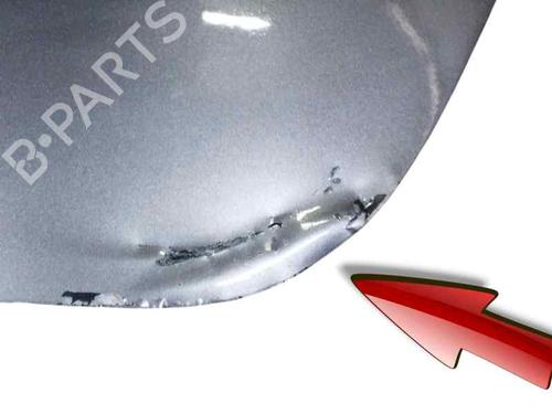 Tailgate RENAULT SCÉNIC III (JZ0/1_) 1.5 dCi | BP23961114C6 