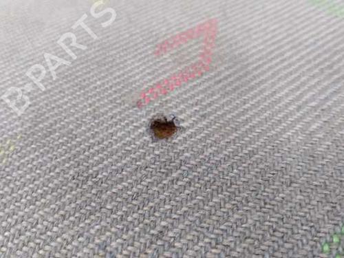 Left front seat VW CRAFTER 30-35 Bus (2E_) | BP3674899C15