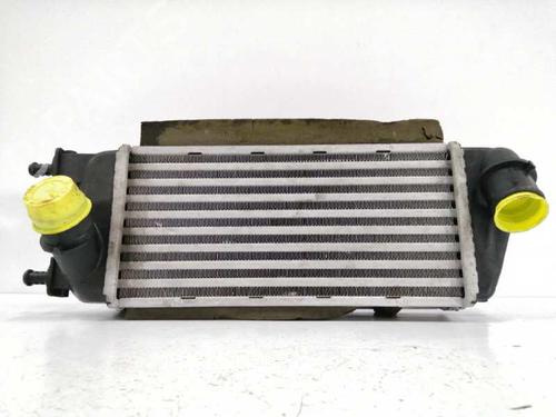 Intercooler FIAT PANDA (312_, 319_) 1.3 D Multijet (312PXL1A) | BP9271463M30