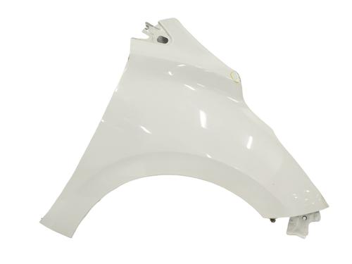 Used Right front fenders HYUNDAI i20 III (BC3, BI3) 1.0 T-GDI (101 hp) 13417427