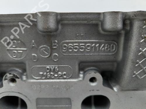  - Image 5