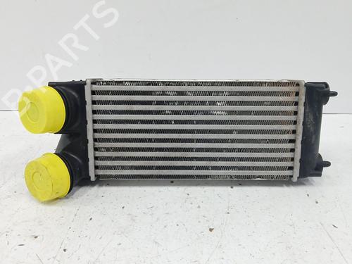 Intercooler PEUGEOT 3008 I MPV (0U_) 1.6 THP | BP29595289M30 