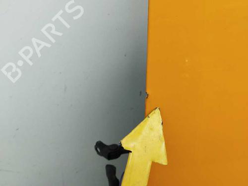 Left front door NISSAN X-TRAIL II (T31) 2.0 dCi 4x4 | BP9964798C2 