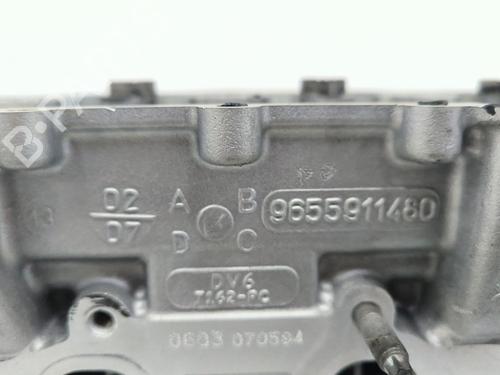  - Image 6