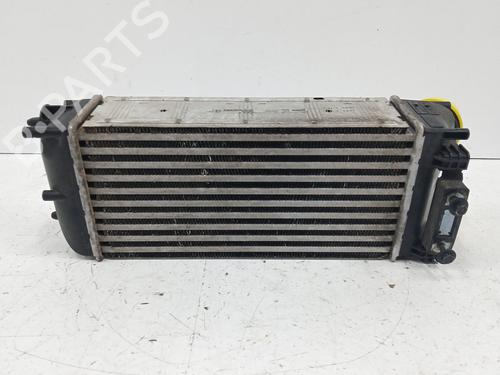 Intercooler PEUGEOT 3008 I MPV (0U_) 1.6 THP | BP29595289M30