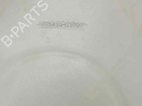 Expansion tank KIA NIRO I (DE) 1.6 GDI Hybrid | BP23959813C120 