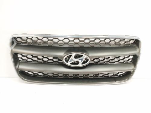 Used Grille HYUNDAI SANTA FÉ II (CM) 2.2 CRDi GLS (150 hp) 10985755