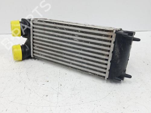 Intercooler PEUGEOT 3008 I MPV (0U_) 1.6 THP | BP29595289M30 