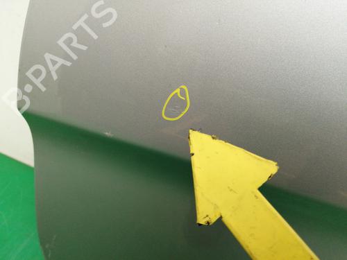 Left front door MERCEDES-BENZ B-CLASS Sports Tourer (W245)  | BP10414773C2 