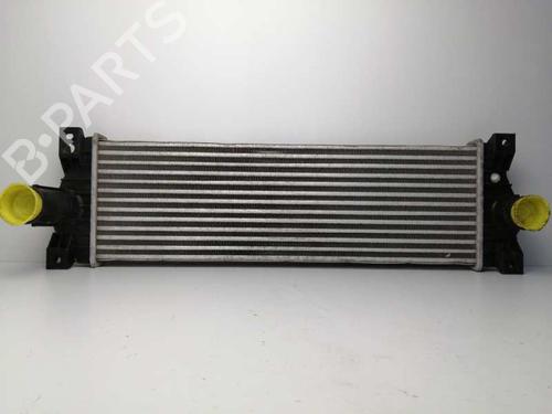 Used Intercooler SSANGYONG ACTYON I 200 Xdi 4WD (141 hp) 6148285