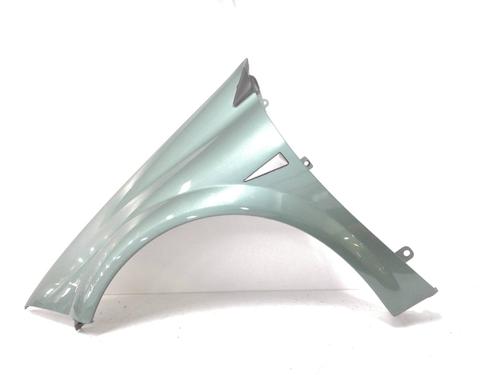 Forskærm venstre Forskærm venstre RENAULT MEGANE II (BM0/1_, CM0/1_) [2001-2012] 12427537 12427537