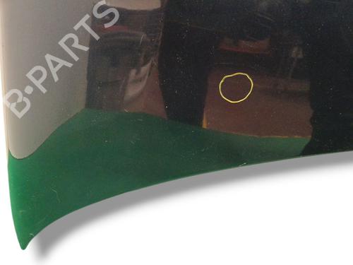 Hood CITROËN C5 III (RD_) 2.7 HDi (RDUHZJ) | BP30197050C1 