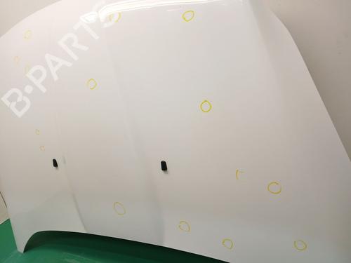 Hood FORD KUGA II (DM2) 2.0 TDCi | BP32365777C1 