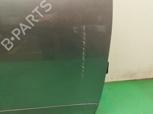 Right front door RENAULT SCÉNIC III (JZ0/1_)  | BP22629908C3 