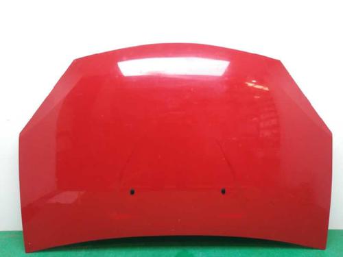 Capot DACIA SANDERO 1.4 (BS0C, BS0A, BS0G, BS1F, BS0E) (75 hp) 6159716