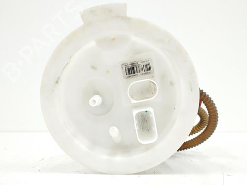 Fuel pump BMW 4 Convertible (F33, F83) 420 d | BP12426119M76 