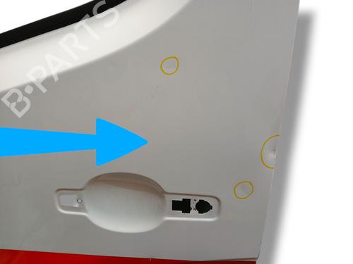 Left front door RENAULT MASTER III Bus (JV) 2.3 dCi 145 FWD (JV0F, JV0S, JV0T) | BP31194832C2 