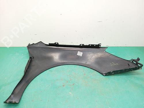 Left front fenders CITROËN C5 III (RD_) 2.7 HDi (RDUHZJ) | BP29979622C41 