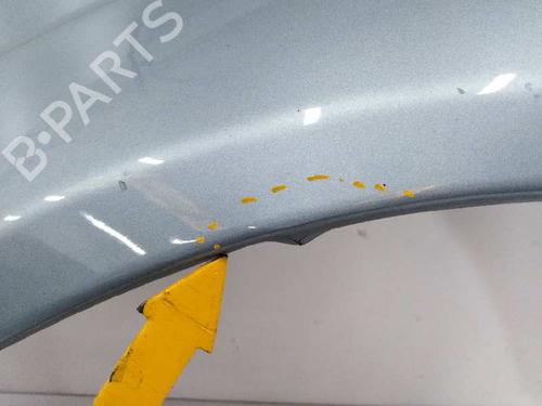 Left front fenders FORD FIESTA V (JH_, JD_) 1.4 TDCi | BP6985635C41 