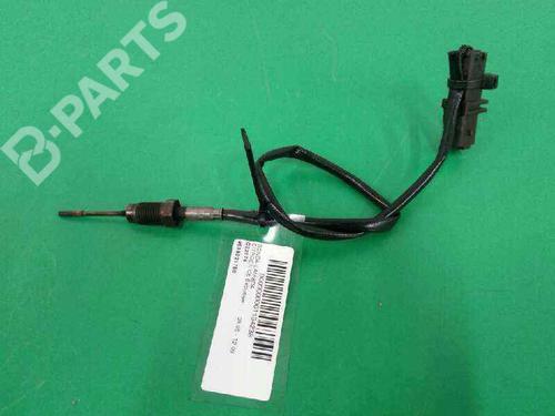 Elektronensonde für CITROËN C6 (TD_) [2005-2012]  8170752
