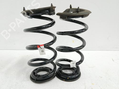 Used Shock absorber spring Shock absorber spring TESLA MODEL 3 (5YJ3) EV (283 hp) 36303628 36303628