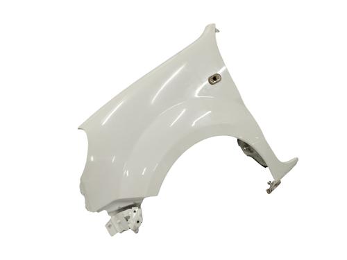Left front fenders RENAULT KANGOO (KC0/1_) 1.5 dCi | BP13452195C41