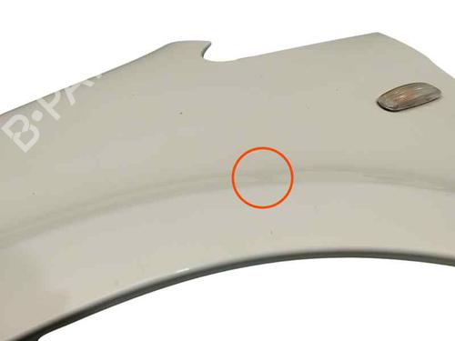 Left front fenders LANCIA MUSA (350_) 1.3 D Multijet (350.AXG11, 350.AXG1A) | BP27258817C41 