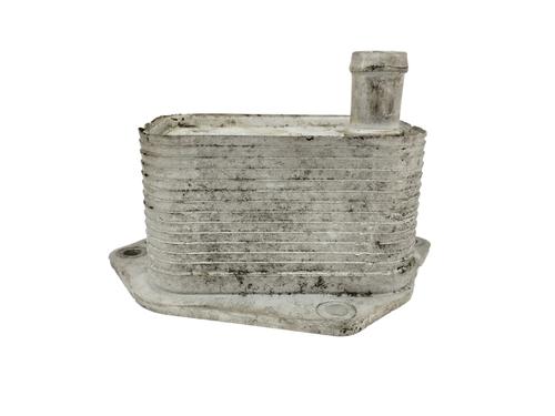 Used Oil radiator KIA CARENS IV 1.7 CRDi (116 hp) 14155449