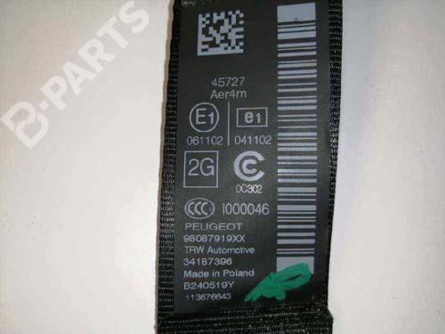 Rear left seatbelt PEUGEOT 308 II (LB_, LP_, LW_, LH_, L3_)  | BP6627361I29 