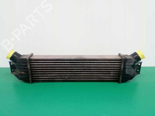 Used Intercooler SSANGYONG RODIUS I [2005-2026]  4829006