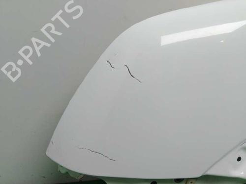 Left front fenders FORD TRANSIT CONNECT (P65_, P70_, P80_) 1.8 TDCi | BP5881570C41 