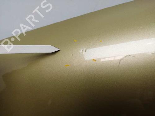 Left front fenders VW GOLF IV (1J1) 1.6 | BP9855356C41 