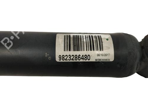 Left rear shock absorber PEUGEOT 5008 II (MC_, MJ_, MR_, M4_)  | BP15952215M18 