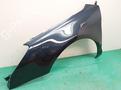 Left front fenders CITROËN C5 III (RD_) 2.7 HDi (RDUHZJ) | BP29979622C41 