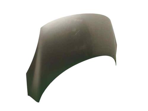 Hood RENAULT SCÉNIC III (JZ0/1_) 1.5 dCi | BP23961113C1
