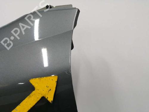Left front fenders PEUGEOT 607 (9D, 9U)  | BP8918475C41 