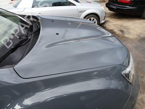 Hood DACIA DUSTER (HM_) 1.3 TCe 130 (HMMF) | BP31998929C1