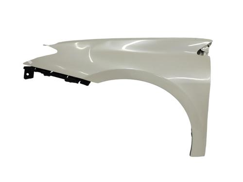 Used Left front fenders RENAULT LAGUNA III Grandtour (KT0/1) [2007-2015]  16889825
