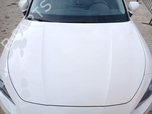 BP31628823C1 main image