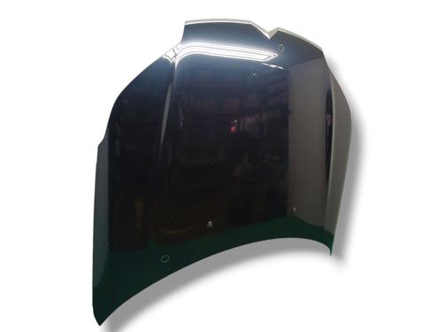 Hood CITROËN C5 III (RD_) 2.7 HDi (RDUHZJ) | BP30197050C1 